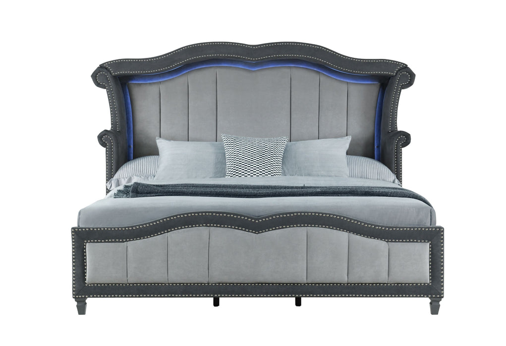 Vanna - King Bed - Dark Gray