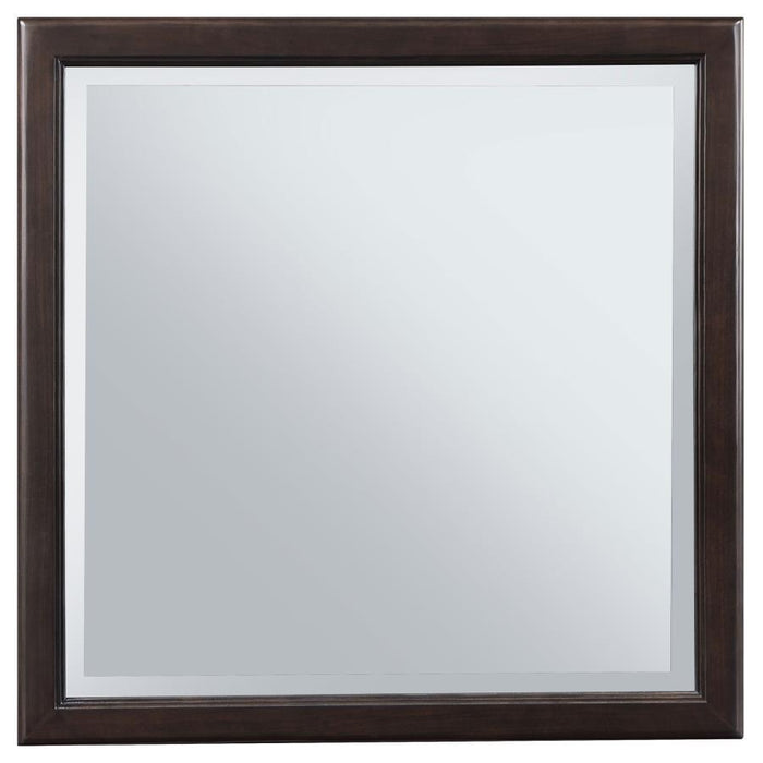 Emberlyn - Dresser Mirror - Brown